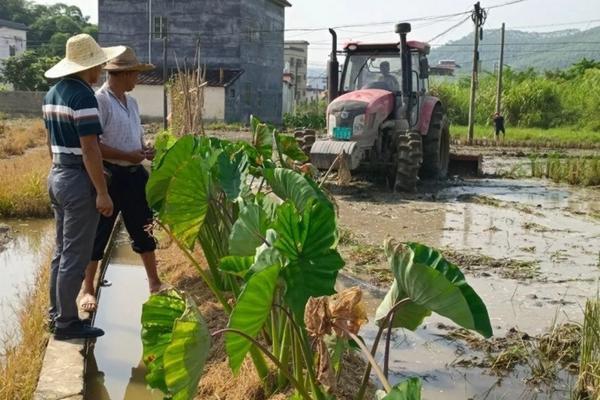 种菜土壤消毒杀菌的最好方法 多菌灵土壤消毒方法及比例