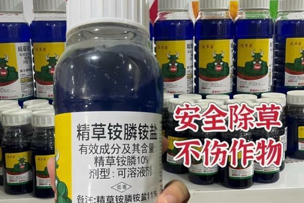 乙草胺与莠去津的配比研究：优化除草效果的关键策略