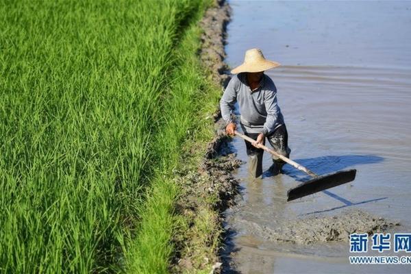 多菌灵灌根多久用一次 多菌灵泡多肉根泡多长时间