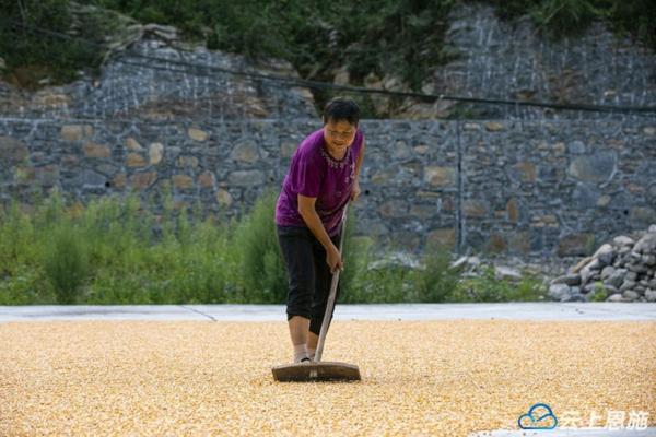 吡虫啉可以同丙溴磷使用么 干豆角长小黑虫怎么处理？