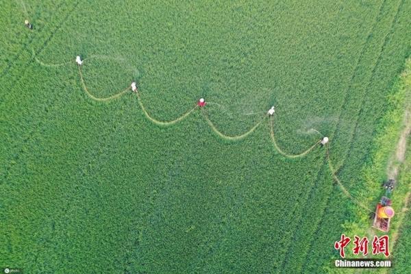 多菌灵拌土比例是多少 多菌灵配比是多少