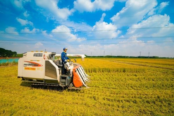 黄芩苗用什么除草剂最好使 黄芩地里现在打什么除草剂？