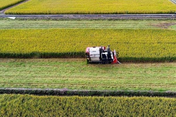 花生地除草剂价格表 花生除草剂能和噻虫嗪一起打吗？