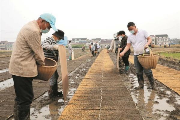 10亩地有多大面积图片 10万亩地有多大