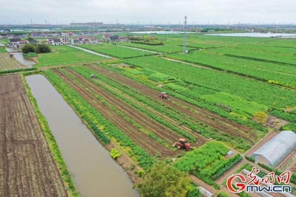 草甘膦铵盐除草剂的用法 草甘膦铵盐除草剂残留多长时间