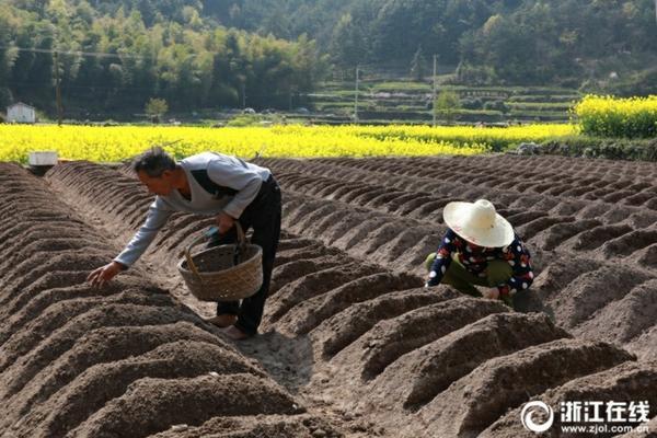 荷花的种植方法和管理 荷花适合什么土壤种植