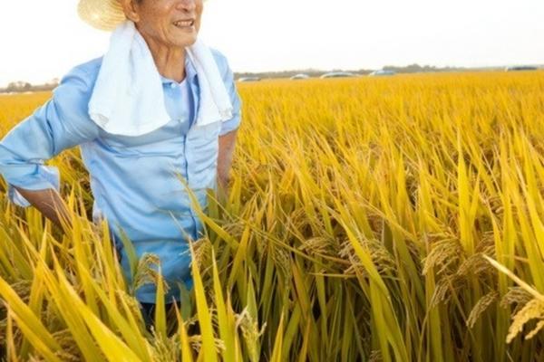 肟菌戊唑醇稀释倍数是多少 戊唑醇多少剂量抑制生长