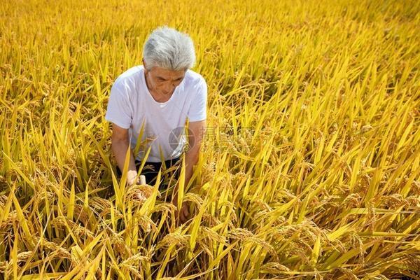 丙唑戊唑醇防治什么病 戊唑醇的防治效果