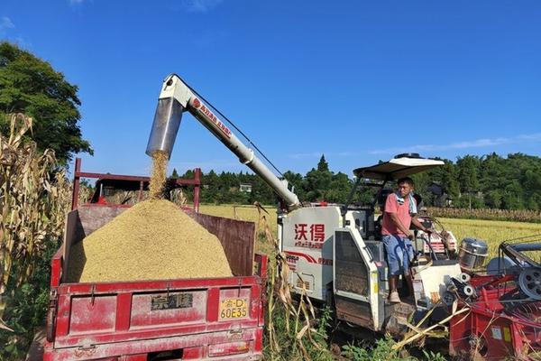 先正达灰霉病杀菌剂 先正达杀菌剂麦甜