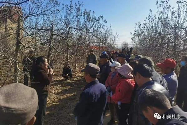 吡虫啉对蚧壳虫的防治效果研究