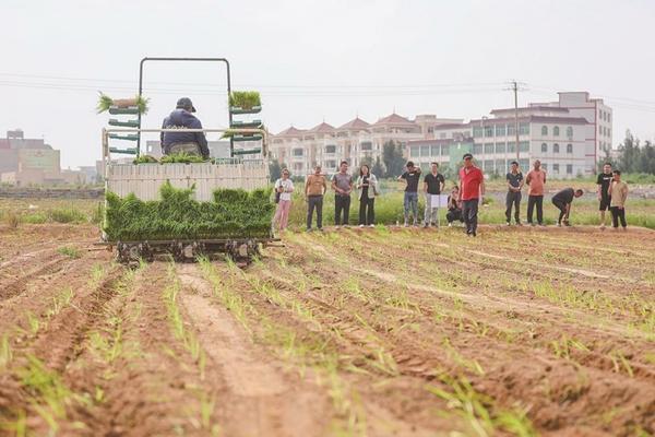 菜苗出土前用什么除草剂最好 施田补对甘蓝有没有药害？