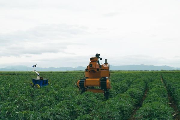 多肉生根粉怎么使用 多肉生根液配制方法？