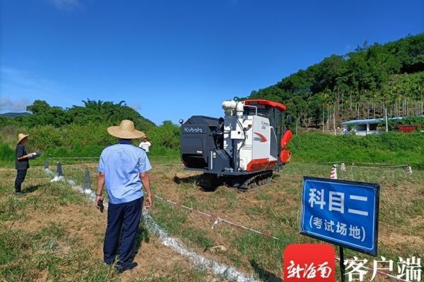 果树施甜蜜素会增甜吗 葡萄使用甜蜜素增甜法？