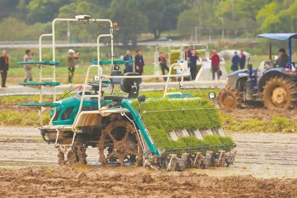 噻菌铜配多菌灵可以打多肉吗 沃柑果实膨大期可以打代森锰锌吗？