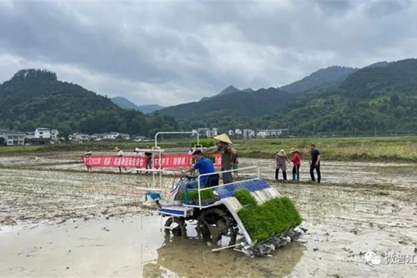 麦地里除草什么农药好用 打麦地虫药什么温度最适宜？