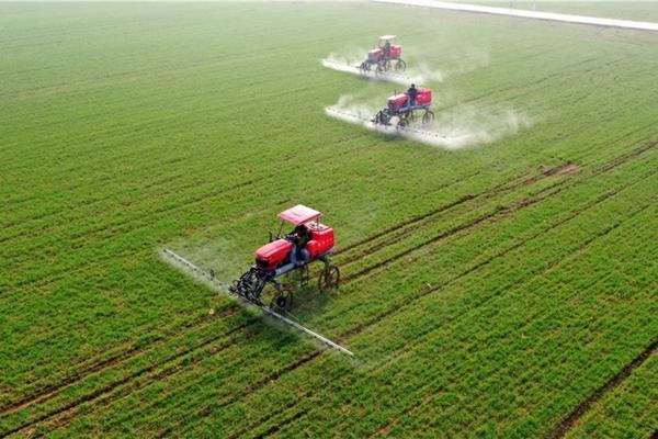 肉肉植物浇水的方法 多肉种好要浇水嘛？