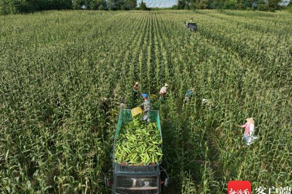 芸苔素和噻虫嗪能混合使用吗 噻虫嗪呋虫胺能不能混用