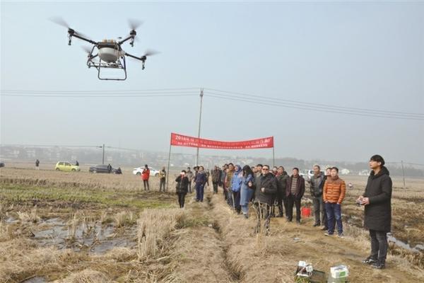 多肉应该用什么土种植 广州多肉土配方？