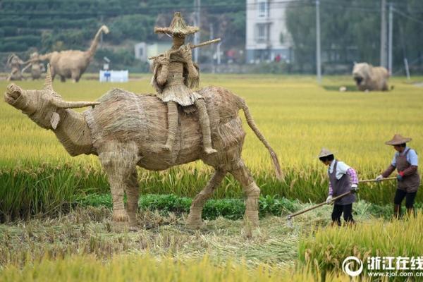 见绿杀除草剂图片 草甘膦和见绿杀有什么区别呢