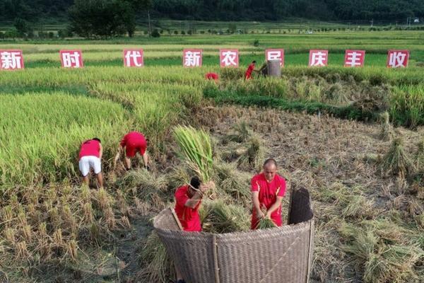 水稻移栽田除草剂种类 传统移栽稻田杂草的除草剂应用技术