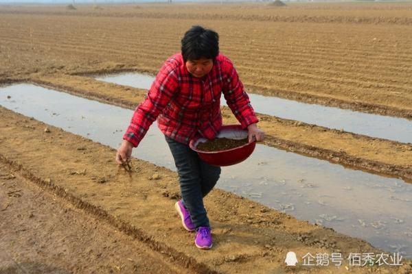 噻呋戊唑醇哪里不能用 春雷王铜可以和噻螓酮混用吗？