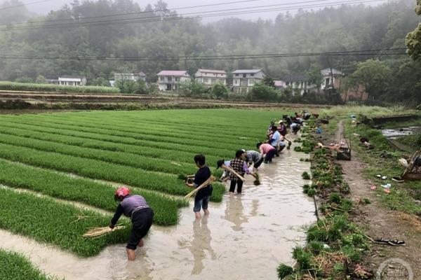 联合收割机多少钱一台 拖拉机驾校报名费多少