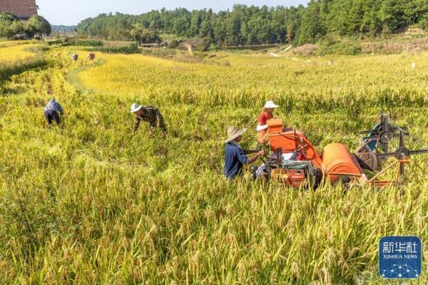 福美双加多菌灵治什么 多菌灵福美双复配治什么病