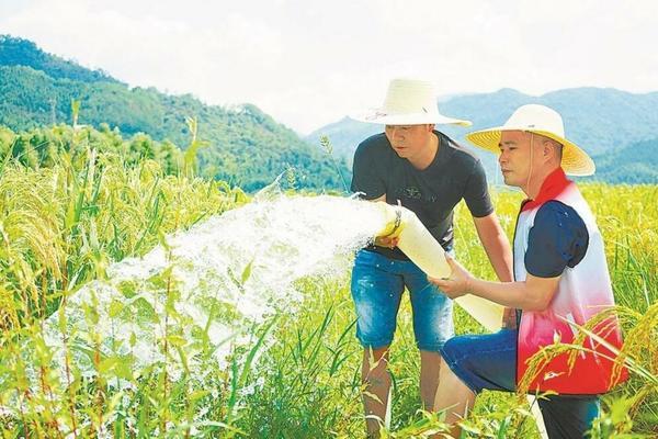 吡虫啉的化学性质及其应用