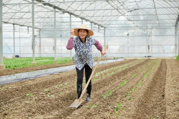 野燕麦用什么除草剂 大豆田野绿豆用什么除草剂