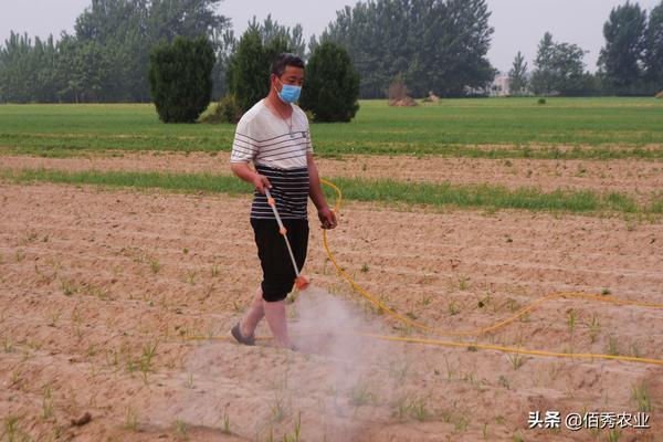 怎样让植物叶片绿油油 花的绿叶子用什么擦可以绿油油的？