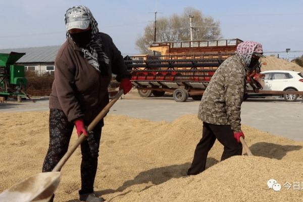 甲拌磷加吡虫啉拌种子行吗 甲拌磷和什么农药混合杀虫更好？