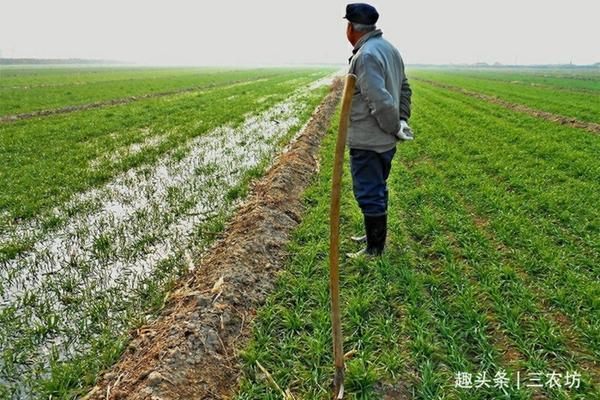 南方现在适合种什么农作物 南方11月份种植什么蔬菜？