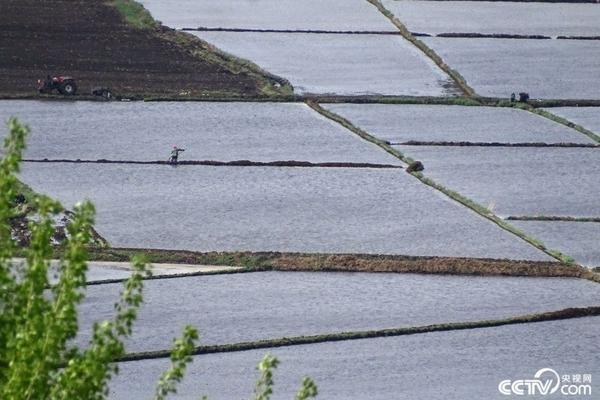 打了除草剂后可以种天麻吗 杨树下适合种植什么？