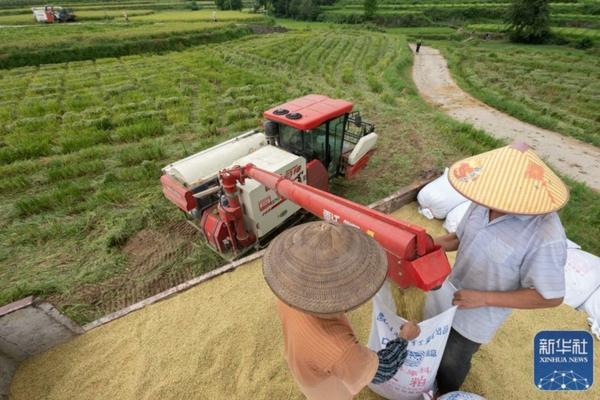 多效唑与吡虫啉可混用吗 高产槟榔芋的种植方法？