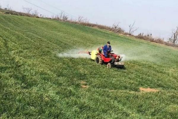 驱蚊农药文件 避蚊胺是农药吗？