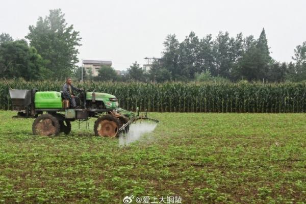 花卉通用营养液什么牌子好 植物通用营养液？