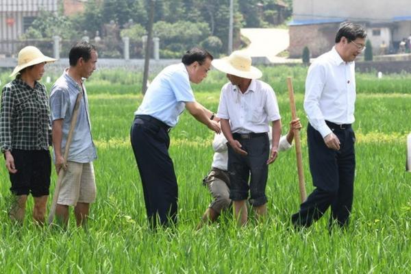 己唑醇与戊唑醇：对比研究及性能优劣分析