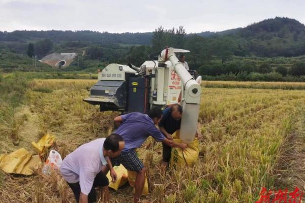 蚧壳虫怎样防治 柿子树介壳虫什么时候打药合适？